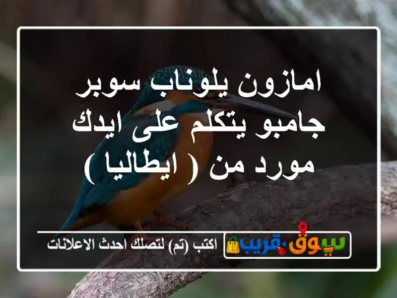 امازون يلوناب سوبر جامبو يتكلم على ايدك  مورد من...