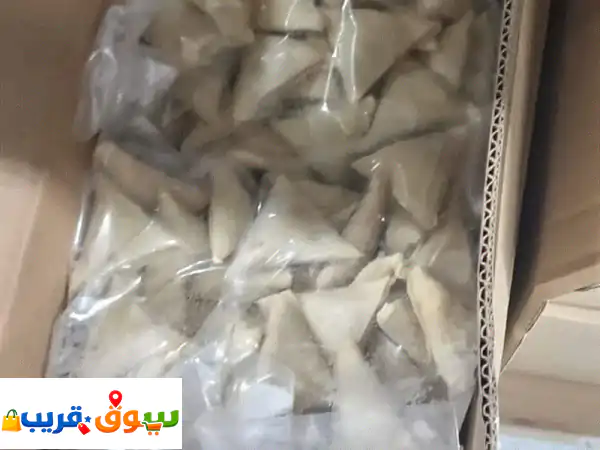 متوفر 5000 كرتون من الكبة والسمبوسك مشكل دجاج ولحم...