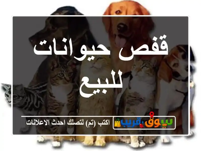 قفص حيوانات للبيع