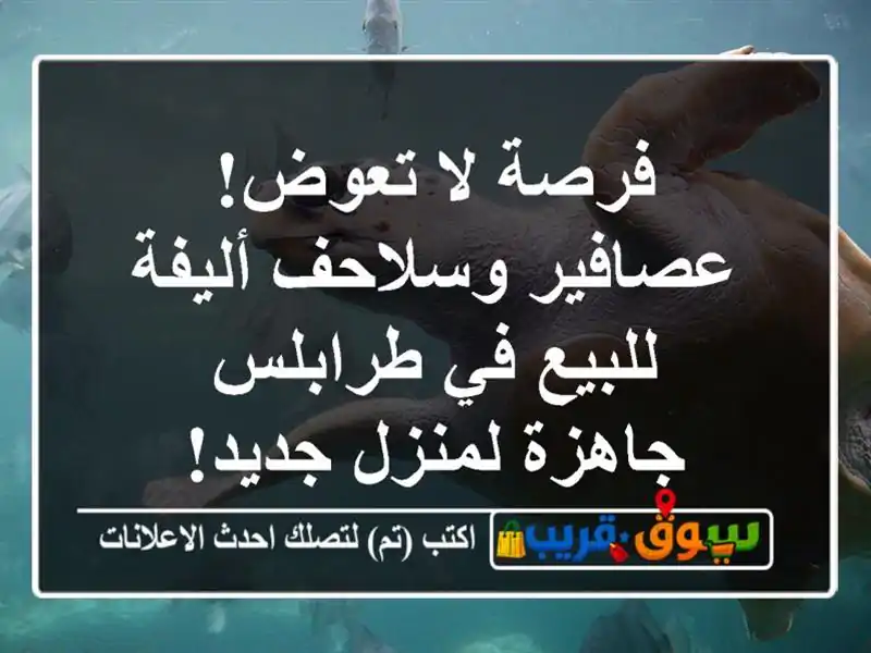 فرصة لا تعوض! عصافير وسلاحف أليفة للبيع في طرابلس...