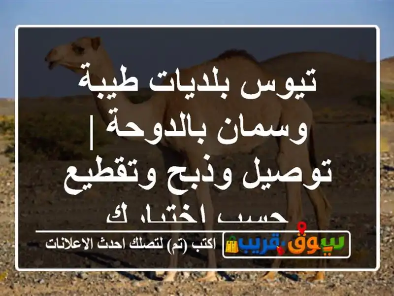 تيوس بلديات طيبة وسمان بالدوحة | توصيل وذبح وتقطيع...