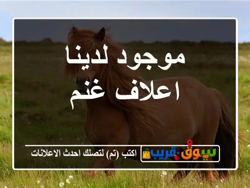 موجود لدينا اعلاف غنم