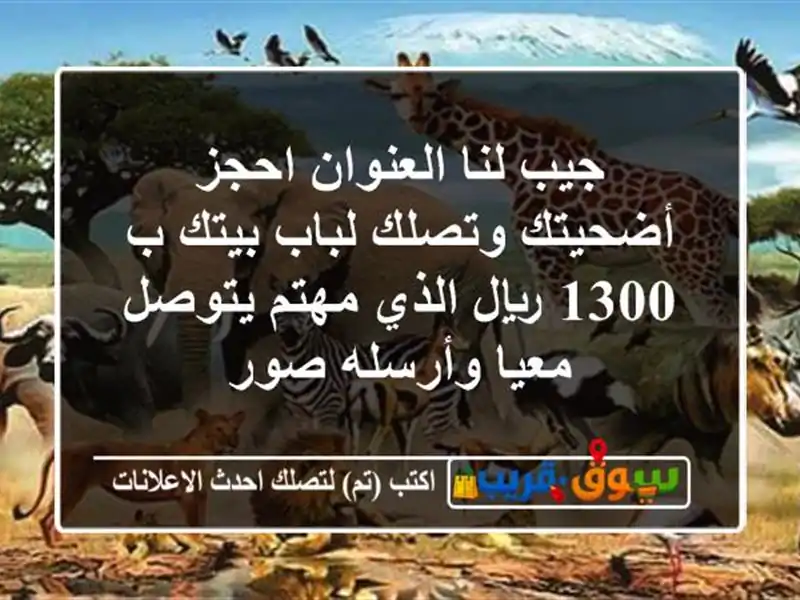 جيب لنا العنوان احجز أضحيتك وتصلك لباب بيتك ب 1300...