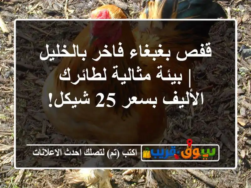 قفص بغبغاء فاخر بالخليل | بيئة مثالية لطائرك...