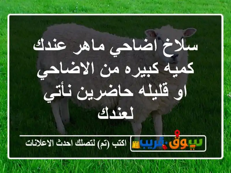 سلاخ اضاحي ماهر عندك كميه كبيره من الاضاحي او...