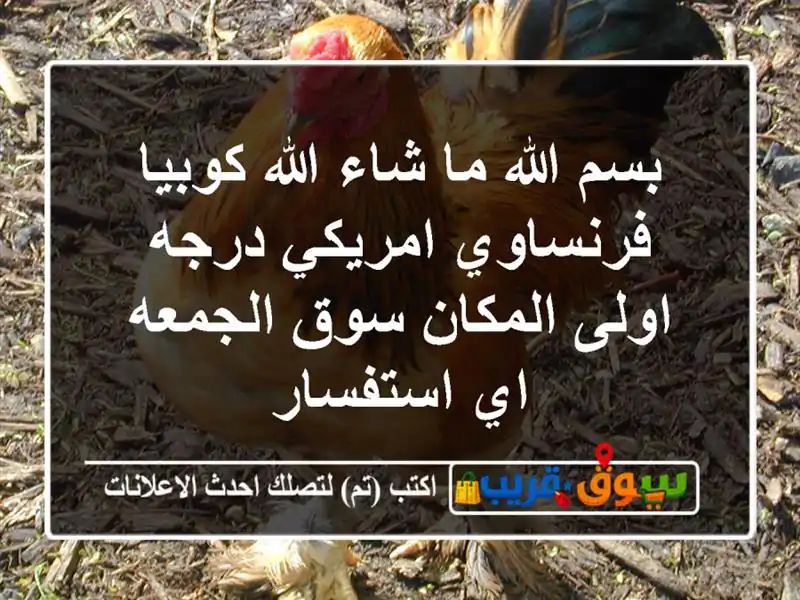 بسم الله ما شاء الله كوبيا فرنساوي امريكي درجه...