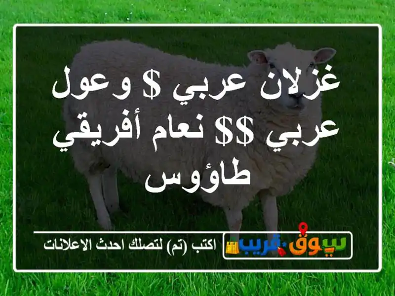 غزلان عربي $ وعول عربي $$ نعام أفريقي & & طاؤوس