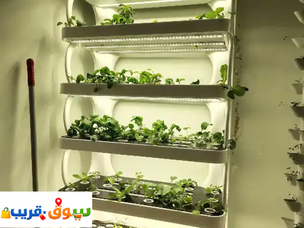جديد كلياً: أجهزة الزراعة المائية المنزلية | حصاد...