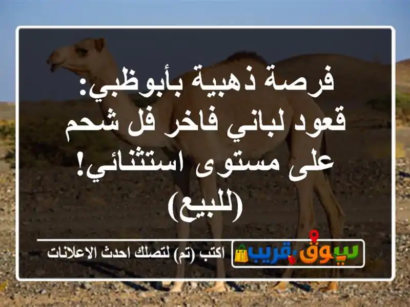 فرصة ذهبية بأبوظبي: قعود لباني فاخر فل شحم على...