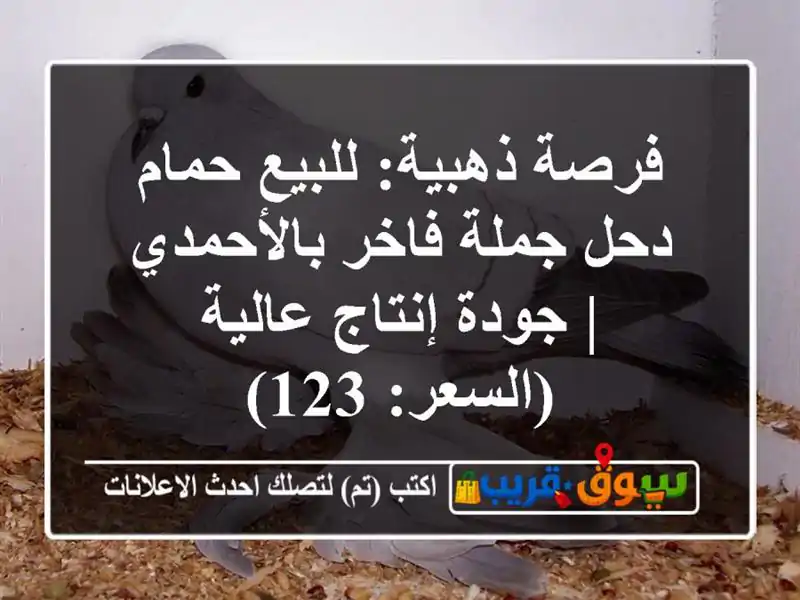 فرصة ذهبية: للبيع حمام دحل جملة فاخر بالأحمدي |...