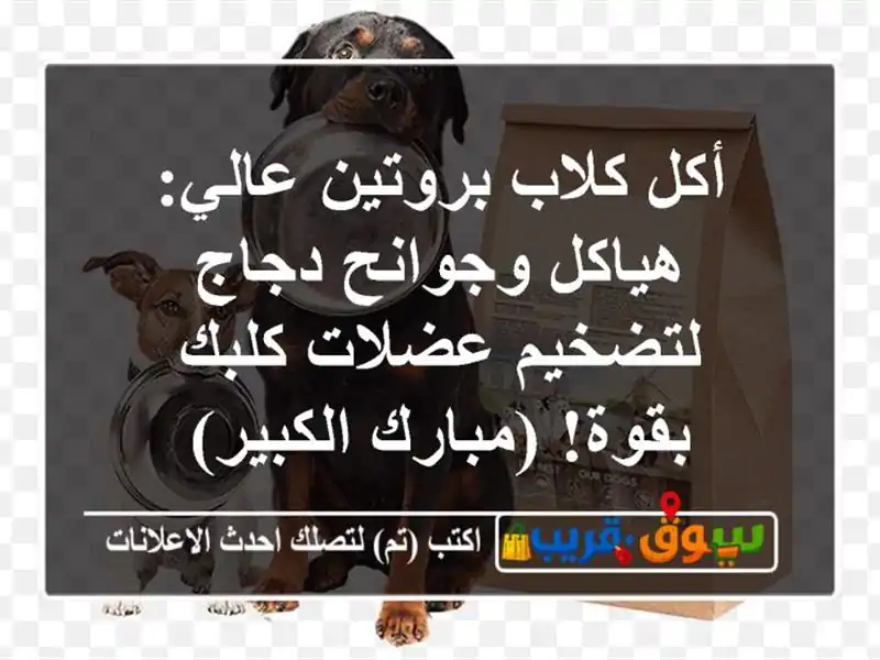 أكل كلاب بروتين عالي: هياكل وجوانح دجاج لتضخيم...