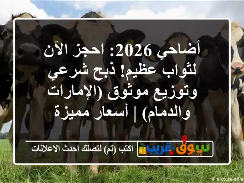 أضاحي 2026: احجز الآن لثواب عظيم! ذبح شرعي وتوزيع...