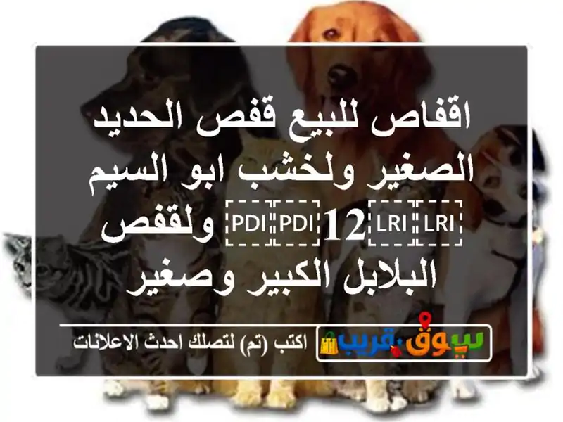 اقفاص للبيع قفص الحديد الصغير ولخشب ابو السيم...