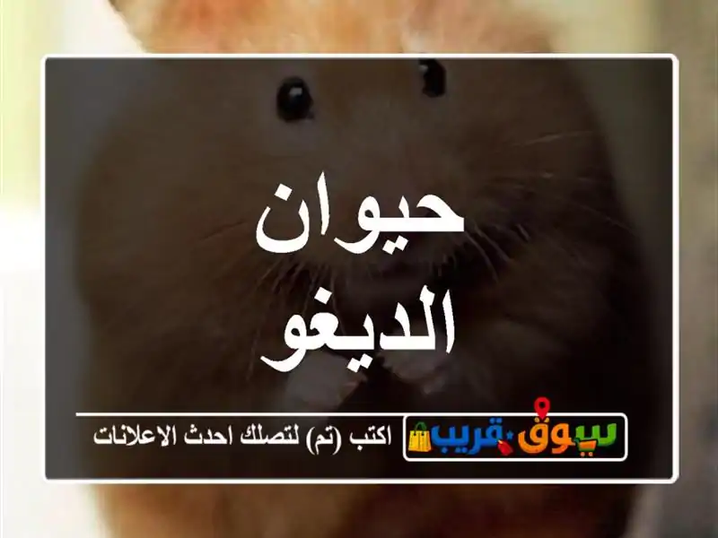 حيوان الديغو