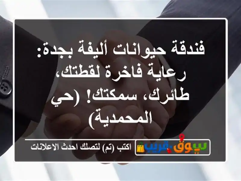 فندقة حيوانات أليفة بجدة: رعاية فاخرة لقطتك،...