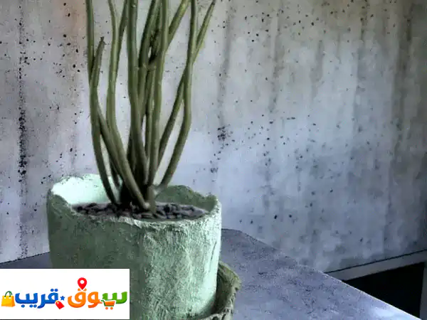 Concrete round planters