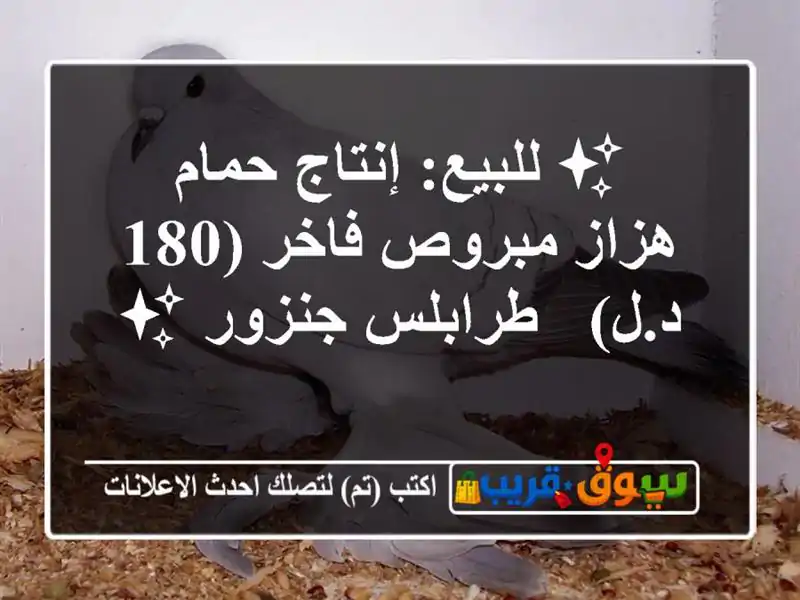 ✨ للبيع: إنتاج حمام هزاز مبروص فاخر (180 د.ل) -...