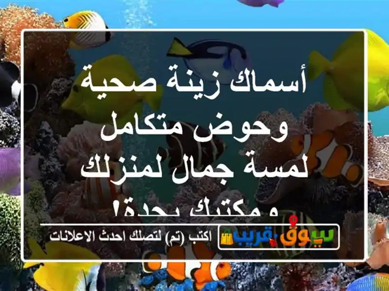 أسماك زينة صحية وحوض متكامل - لمسة جمال لمنزلك...