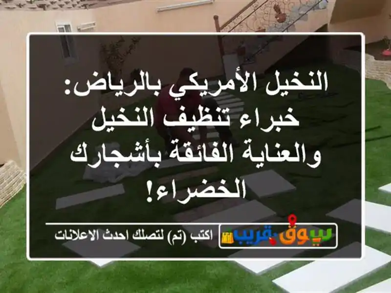 النخيل الأمريكي بالرياض: خبراء تنظيف النخيل...