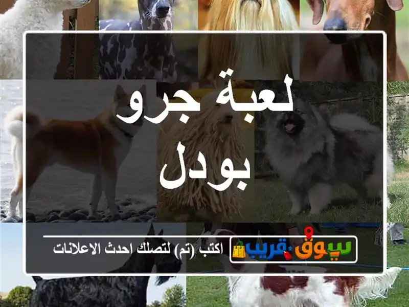 لعبة جرو بودل