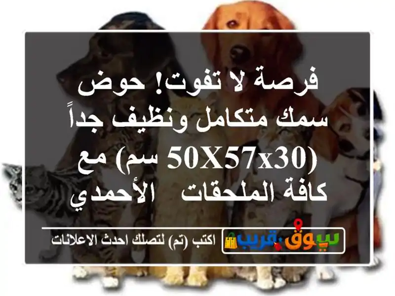 فرصة لا تفوت! حوض سمك متكامل ونظيف جداً (50x57x30 سم)...