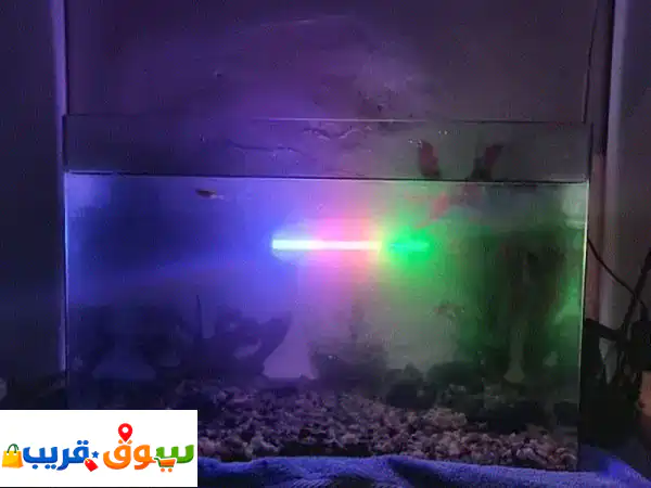 aquarium without fish but with decore all clean and working