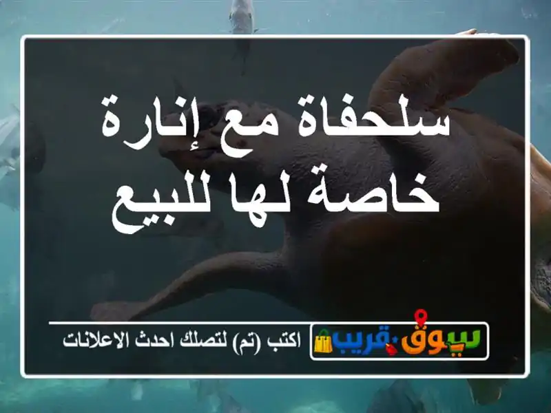 سلحفاة مع إنارة خاصة لها للبيع