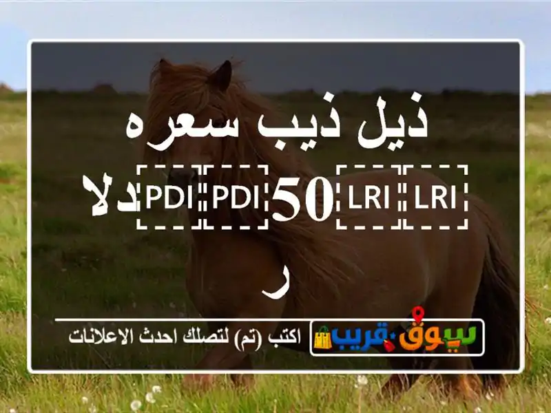 ذيل ذيب سعره ⁦⁦50⁩⁩دلار