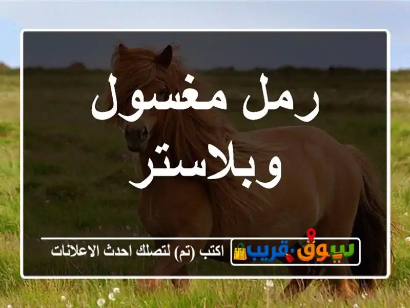 رمل مغسول وبلاستر