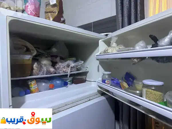 براد شغال مرتب كتير كبير وقصة