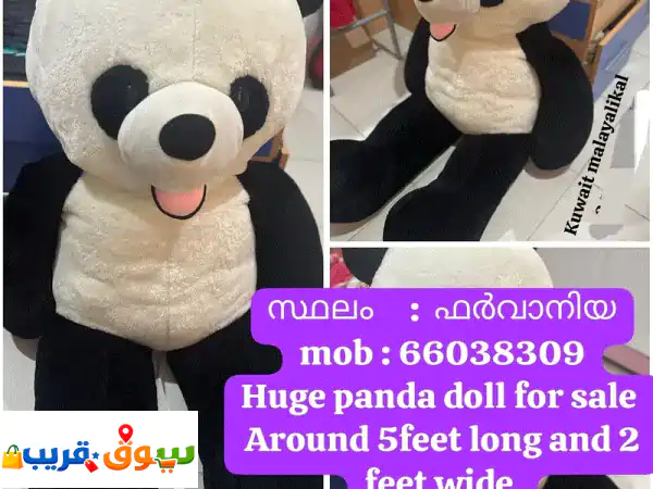 5 feet pada for sale