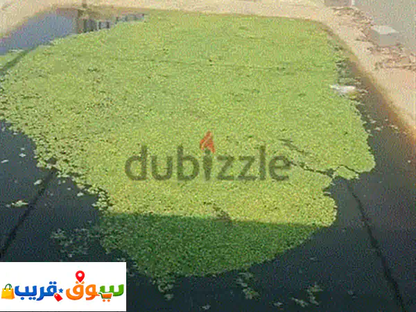 تصليح غسالات الكويت السالمية | فني غسالات اتوماتيك موثوق وسريع