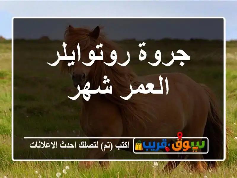 جروة روتوايلر العمر شهر