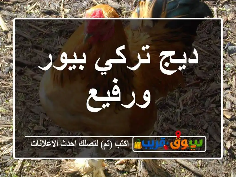 ديج تركي بيور ورفيع