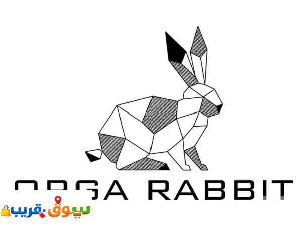 ORGA RABBITu002 Flion head للبيع ارانب كاليفورنيا و راس الاسد