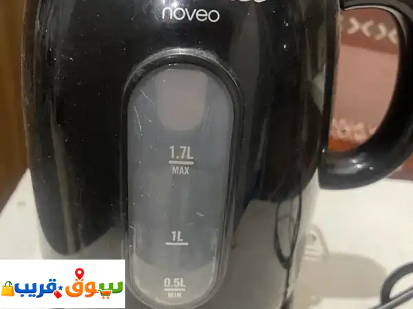 Electric kettle