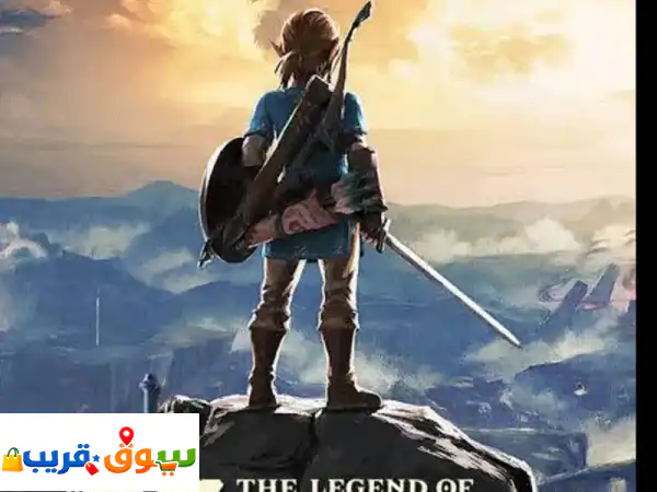 Nintendo switch Games ZELDA