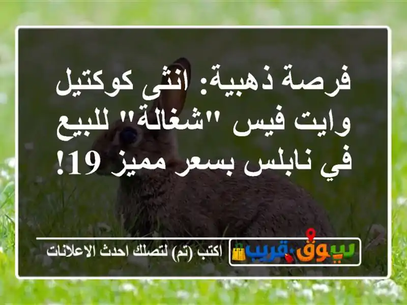 فرصة ذهبية: انثى كوكتيل وايت فيس 