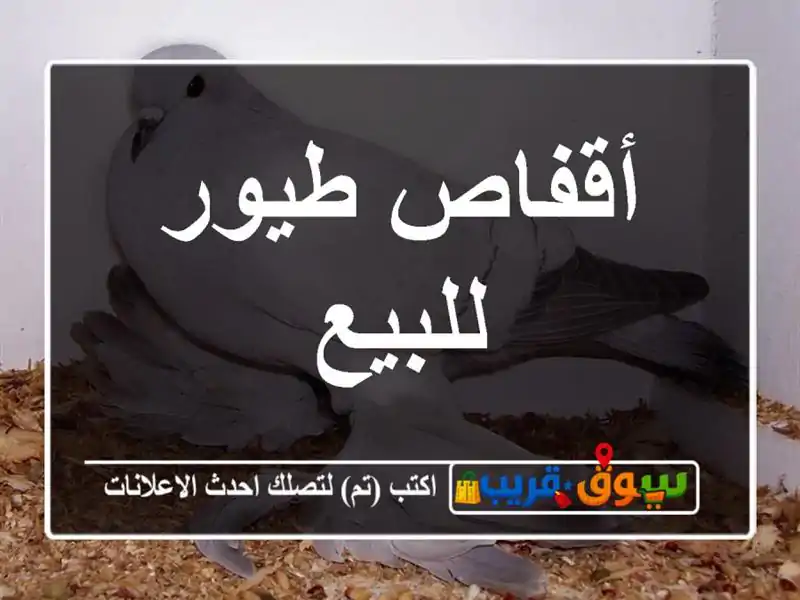 أقفاص طيور للبيع