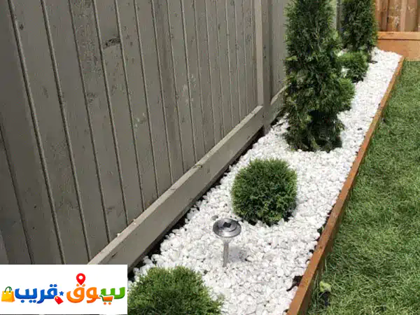 Garden Maintenance, Plants and Tree Trimming Cutting, Decorating Plant