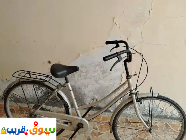 عجلة للبيع مافيهاش أي مشكلة السعر 200 داخل كلباء