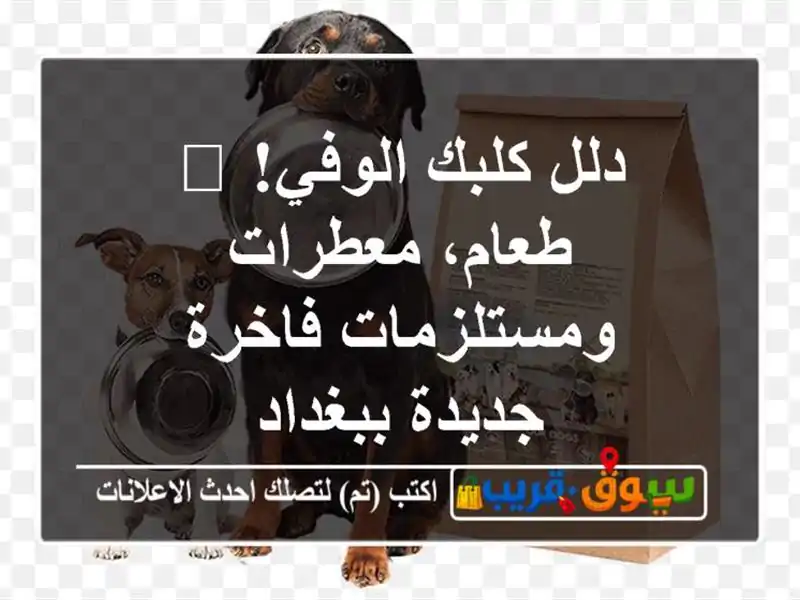دلل كلبك الوفي! 🐾 طعام، معطرات ومستلزمات فاخرة...