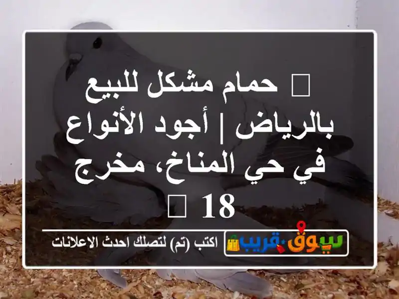 🔥 حمام مشكل للبيع بالرياض | أجود الأنواع في حي...