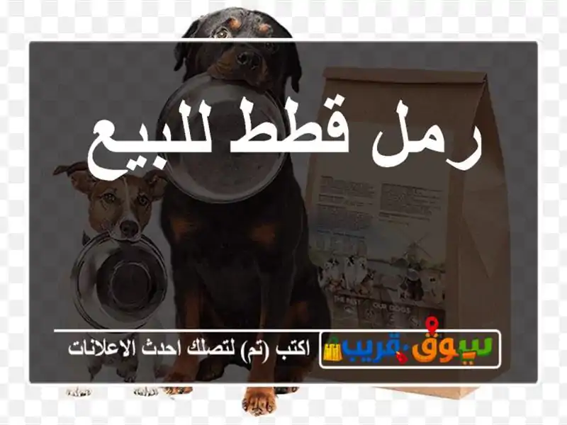 رمل قطط للبيع