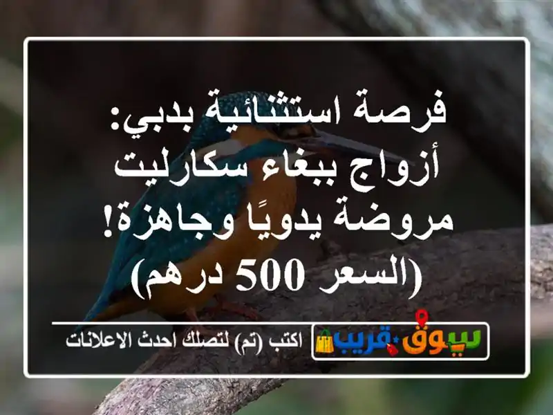 فرصة استثنائية بدبي: أزواج ببغاء سكارليت مروضة...