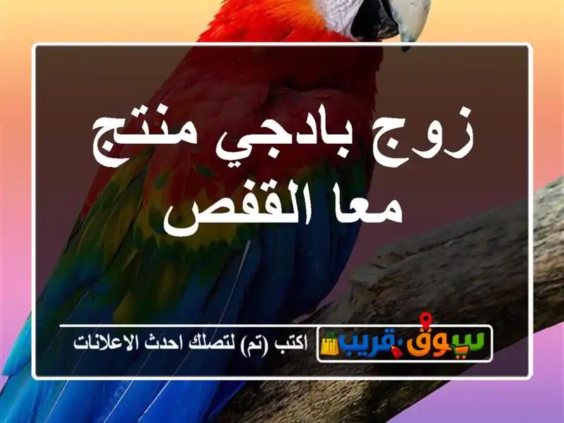 زوج بادجي منتج معا القفص