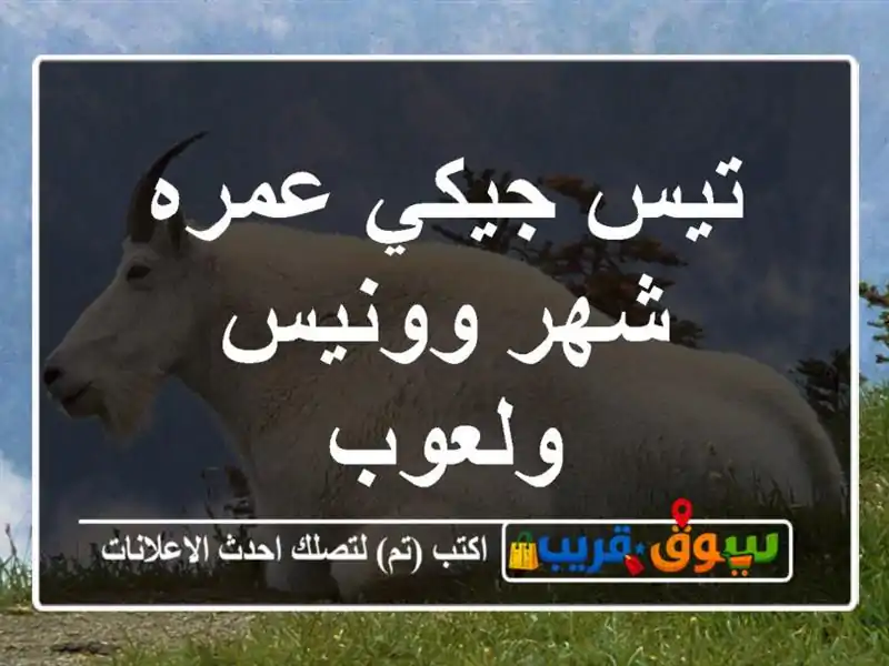 تيس جيكي عمره شهر وونيس ولعوب
