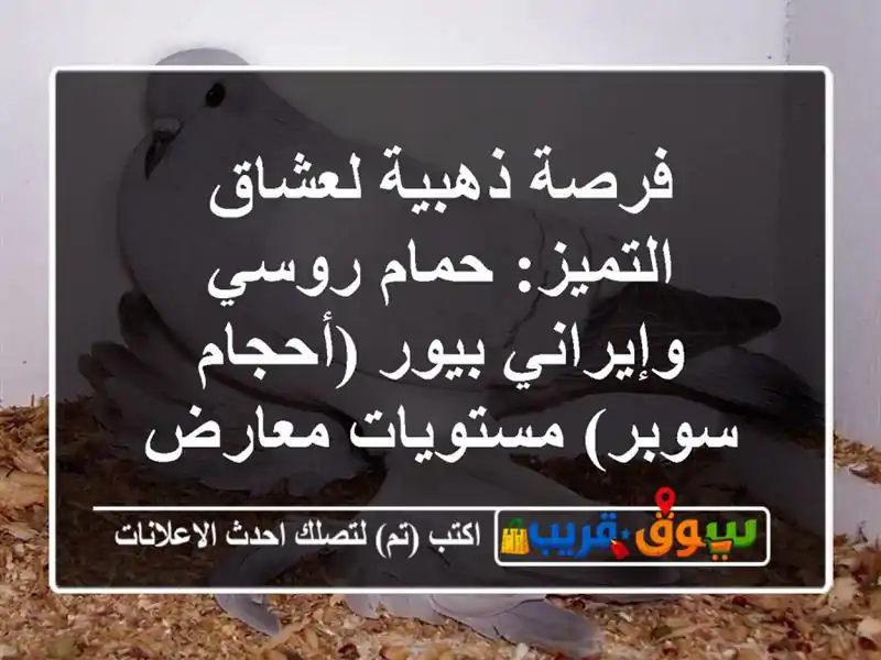 فرصة ذهبية لعشاق التميز: حمام روسي وإيراني بيور...