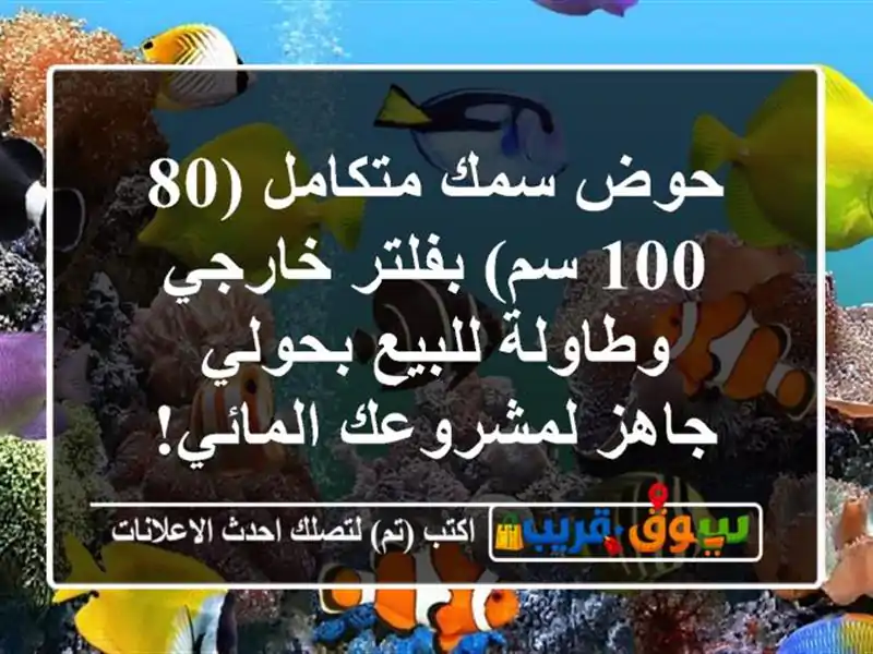 حوض سمك متكامل (80-100 سم) بفلتر خارجي وطاولة للبيع بحولي...