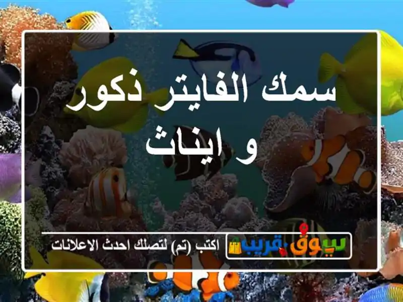 سمك الفايتر ذكور و ايناث